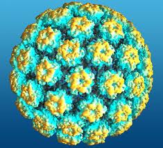 Vírus HPV