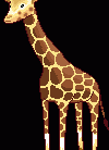 Moda Estampa Girafa Animal Print para o Inverno – Dicas e Fotos.