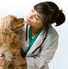 medicina-veterinaria