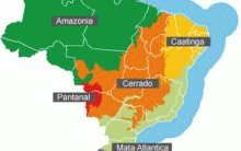 Os Biomas no Brasil – Principais Características