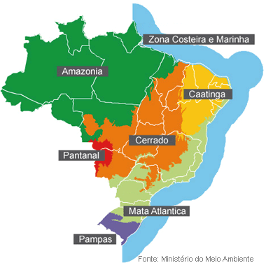 Os Biomas no Brasil – Principais Características