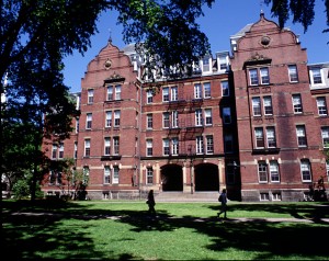 harvard-university-bolsa