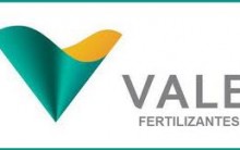 Programa de Estágio 2014 Vale Fertilizantes – Vagas e Como Se Inscrever