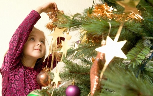 Dia Oficial de Montar a Árvore  de Natal – Ceia da Árvore – Informações