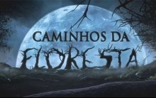 Filme Caminhos da Floresta – Sinopse, Elenco e Trailer