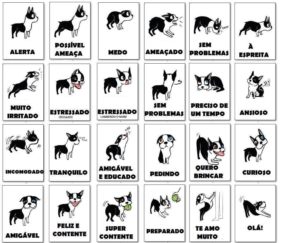 linguagem-dos-cães