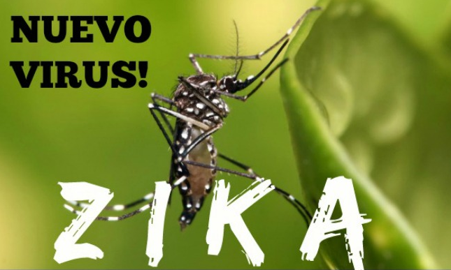 Zika Vírus – O Que é, Sintomas, Prevenção e Tratamento