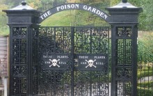Jardim Venenoso do Castelo de Alnwick – Ponto Turístico, Plantas e Fotos