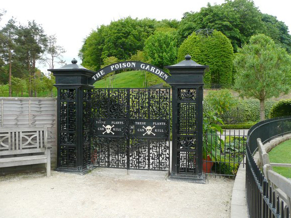 Jardim-venenoso-portão