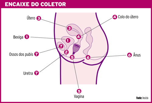 Coletor-Menstrual-enc