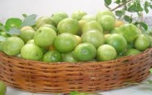 Fruta Umbu – Benefícios e Receita de Geleia