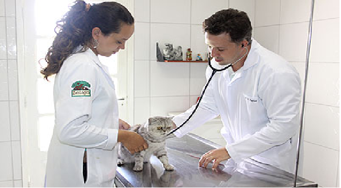 Pet nas Férias veterinário