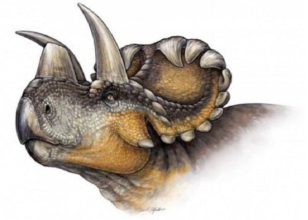 Dinossauro Nova Espécie – Descoberta Por  Pesquisador