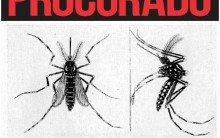 Mosquito Aedes Aegypti da Dengue a Zika – O Porque Tantas Doenças