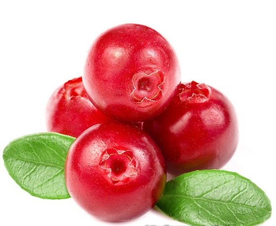 Cranberry ou Oxicoco – Beneficios