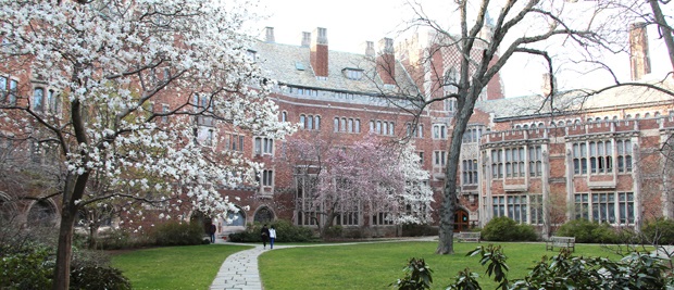 Universidade Yale Bolsa de Estudos – Inscrição