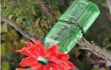 Bebedouro Para Beija-Flor Reciclável – Como Fazer