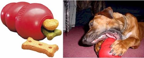 Brinquedos Interativos Cães – Benefícios Dicas