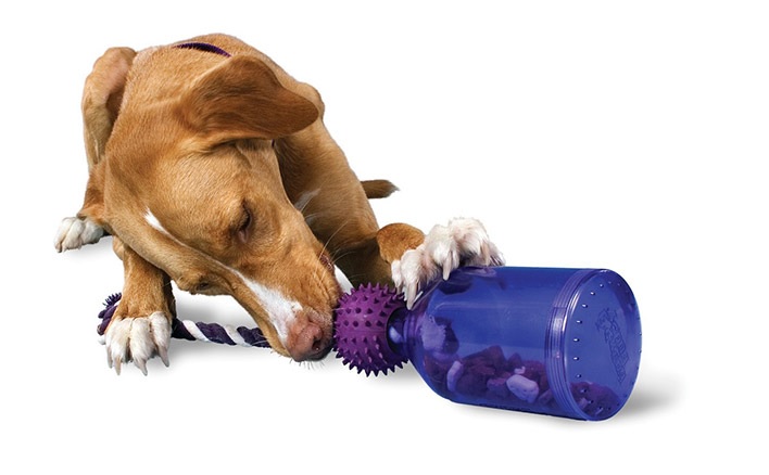 Brinquedos Interativos Para Cães – Benefícios e Dicas