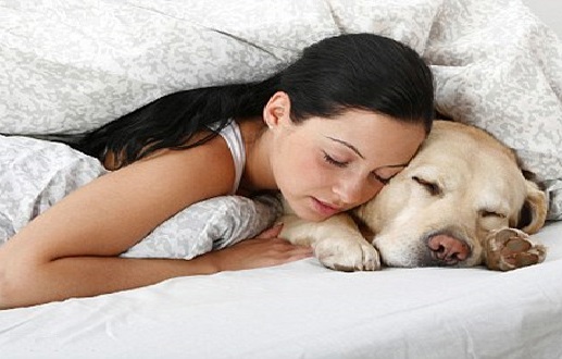 Dormir Com Animal de Estimação -  Riscos e Consequências