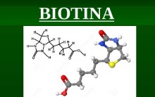 Biotina Vitamina – Benefícios e Onde Encontrar
