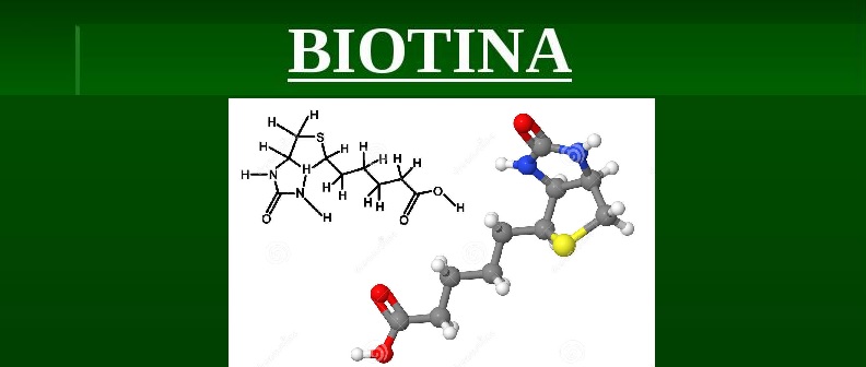 Biotina vitamina- Benefícios  Onde Encontrar