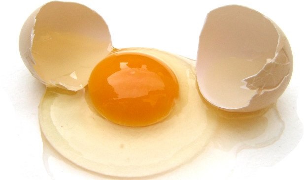 Gravidez e Alimentos Proibidos – ovo