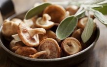 Nova Dieta Cogumelo – Como Fazer e  Cardápio 