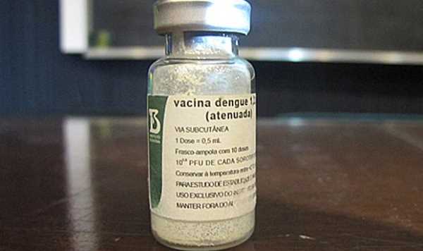Vacina Contra Dengue  Disponível no Brasil