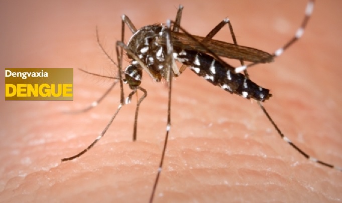 Vacina Contra Dengue – Disponível no Brasil