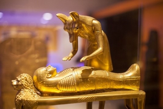Museu Egípcio Itinerante  Data de Exposições