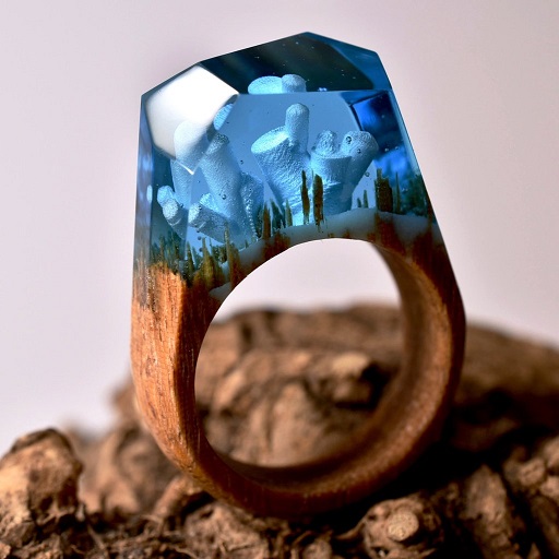 Anéis Exclusivos – Paisagens Em Miniaturas frozens