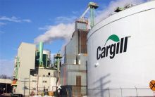 Cargill Programa de Trainees – Como Participar