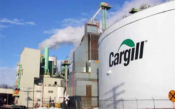 cargill-programa-de-trainees-como-participar