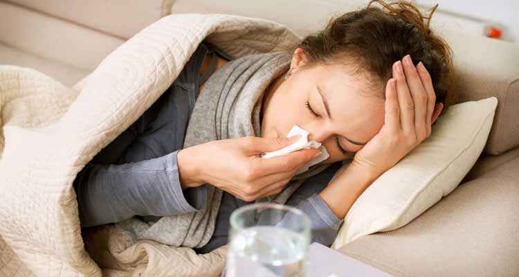 Infusões Anti gripe – Receitas