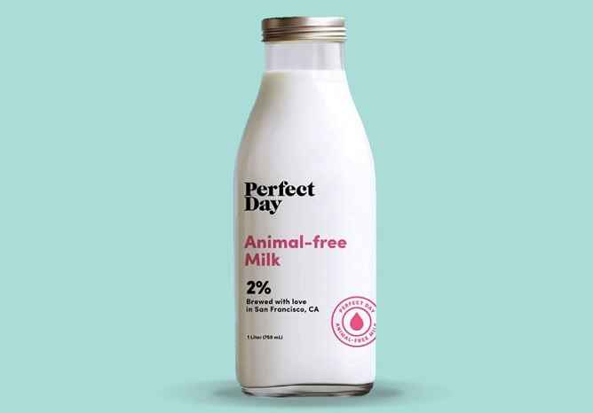 Leite Artificial Perfeito Sem Lactose – Perfect Day