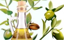 Óleo de Jojoba – Benefícios e Como Usar