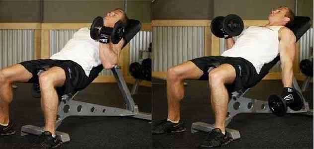 exercicios-para-biceps
