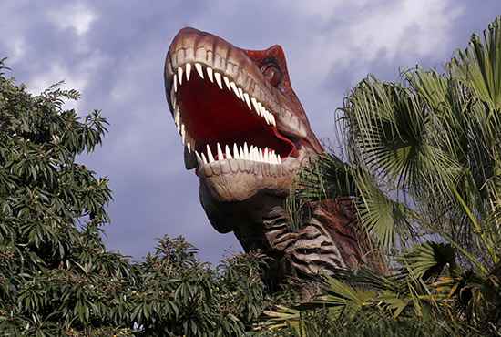 Vale Dos Dinossauros – Passeio