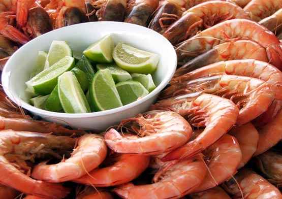 Frutos do Mar - Benefícios
