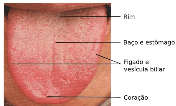 Higiene na língua – Benefícios