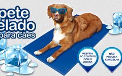 Tapete Gelado Para Cães – Como Funciona