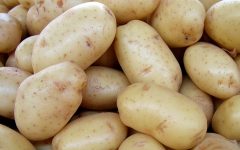 Plantar Batatas Em Casa – Como Fazer e Vídeo