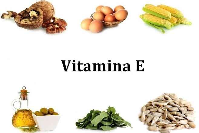 Vitamina E – Alimentos e Benefícios