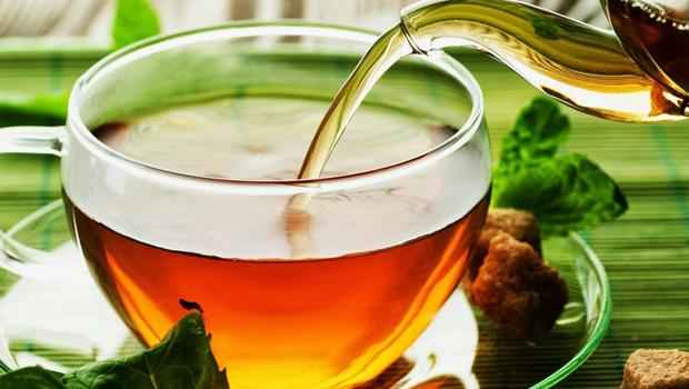 Chá de Moringa – Benefícios e Receita