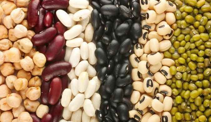 Alimentos Ricos Em Proteína – Para Veganos e Vegetarianos