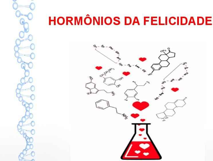 Hormônios da Felicidade – Como Estimular e Efeitos