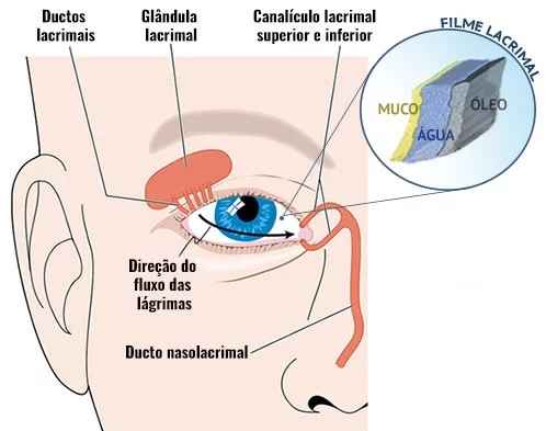 Síndrome do Olho Seco – Causas e Sintomas