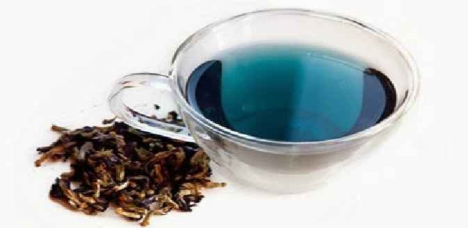 Chá Azul Para Emagrecer – Benefícios