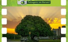 Concurso de Fotografia Ambiental Em Barueri – Inscrições